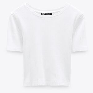 Zara Ribbed Cotton T-shirt - NWT - Small